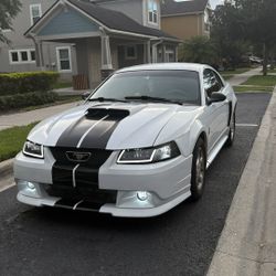 2000 mustang 