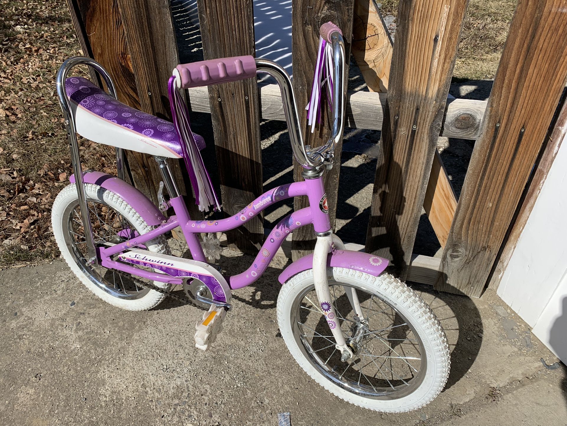 Schwinn Girls Bike