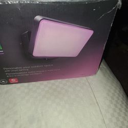 Philips Hue light
