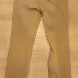 Levi's Skateboard Work Pant