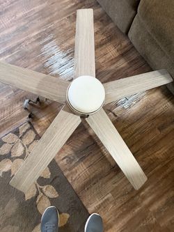 5-Blade Ceiling Fan with Light Kit