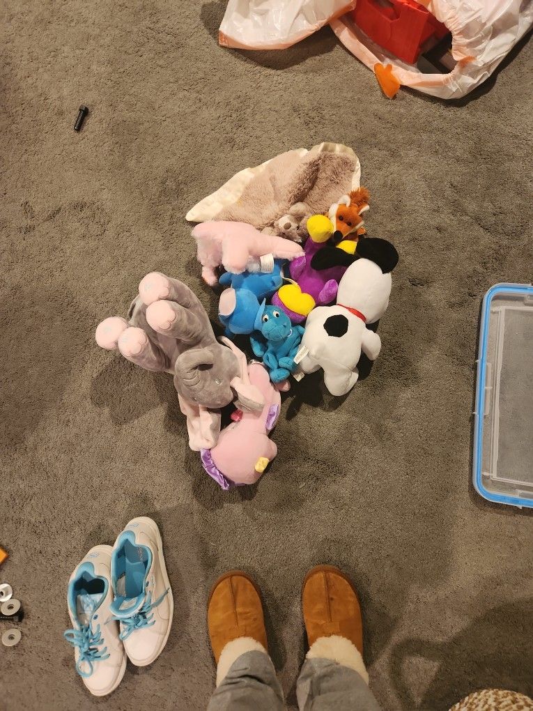 Stuff Animals 