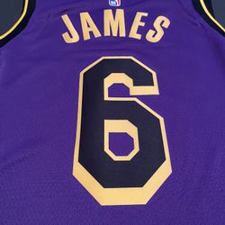 Lebron James Swingman Statement Edition Colorway #6