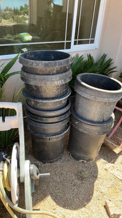 15 gallons pots