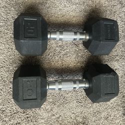 Two 20 Lb Dumbbells 