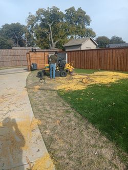 Trabajo De Arboles Estimado Gratis 