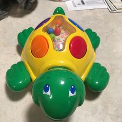Musical Turtle