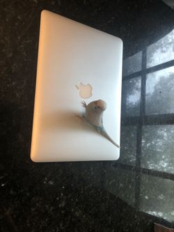 MacBook Air 13” Certified Warranty Delivered Office 2019 DUAL SYSTEMS WINDOWS 10