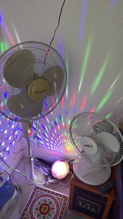 Fans