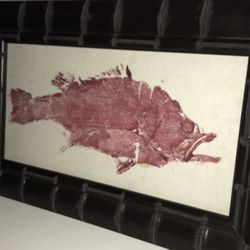 Fish Prints