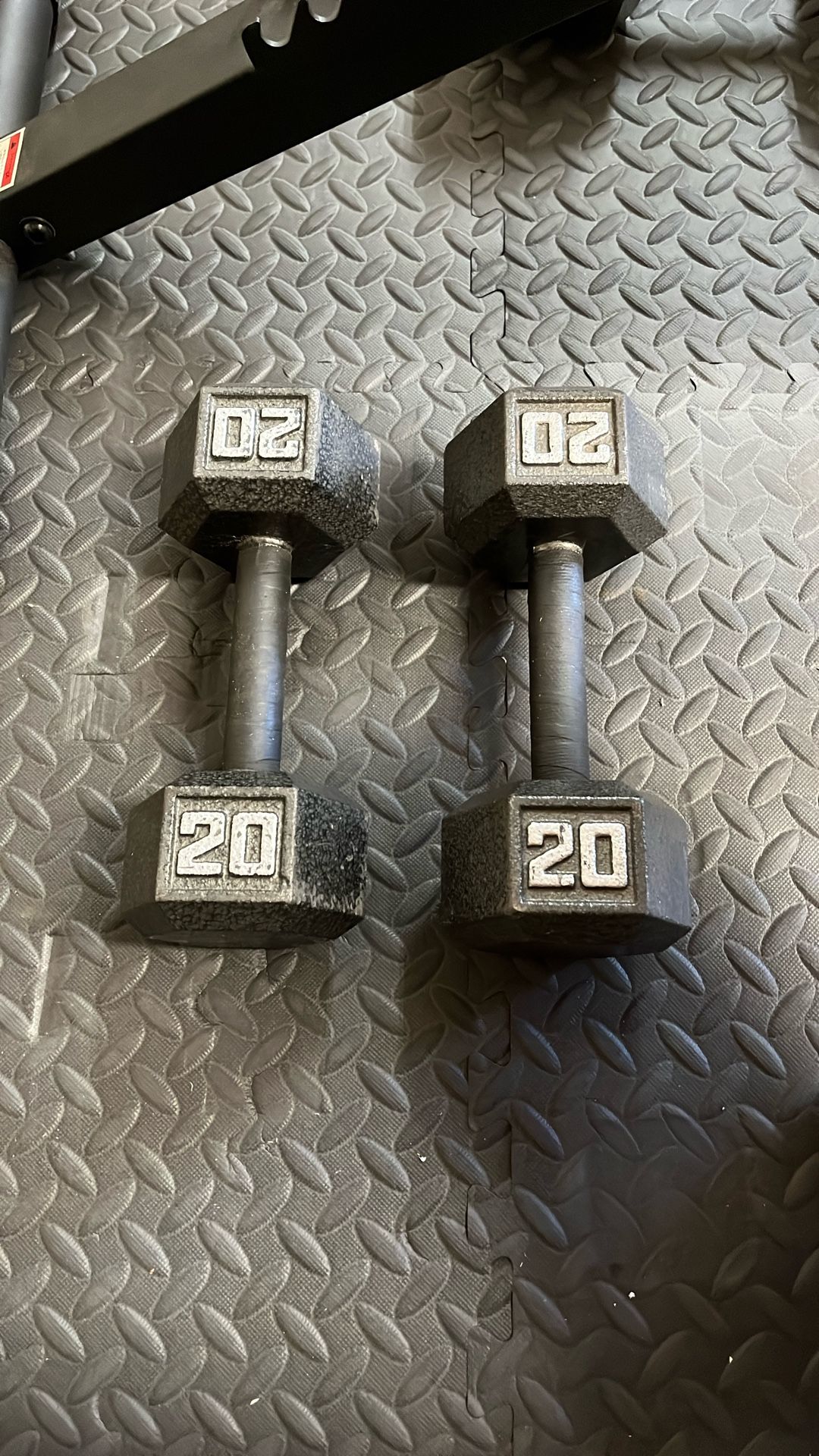 20lbs. Dumbbell Set