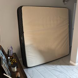 Bed For Sale Box Springs And Frame