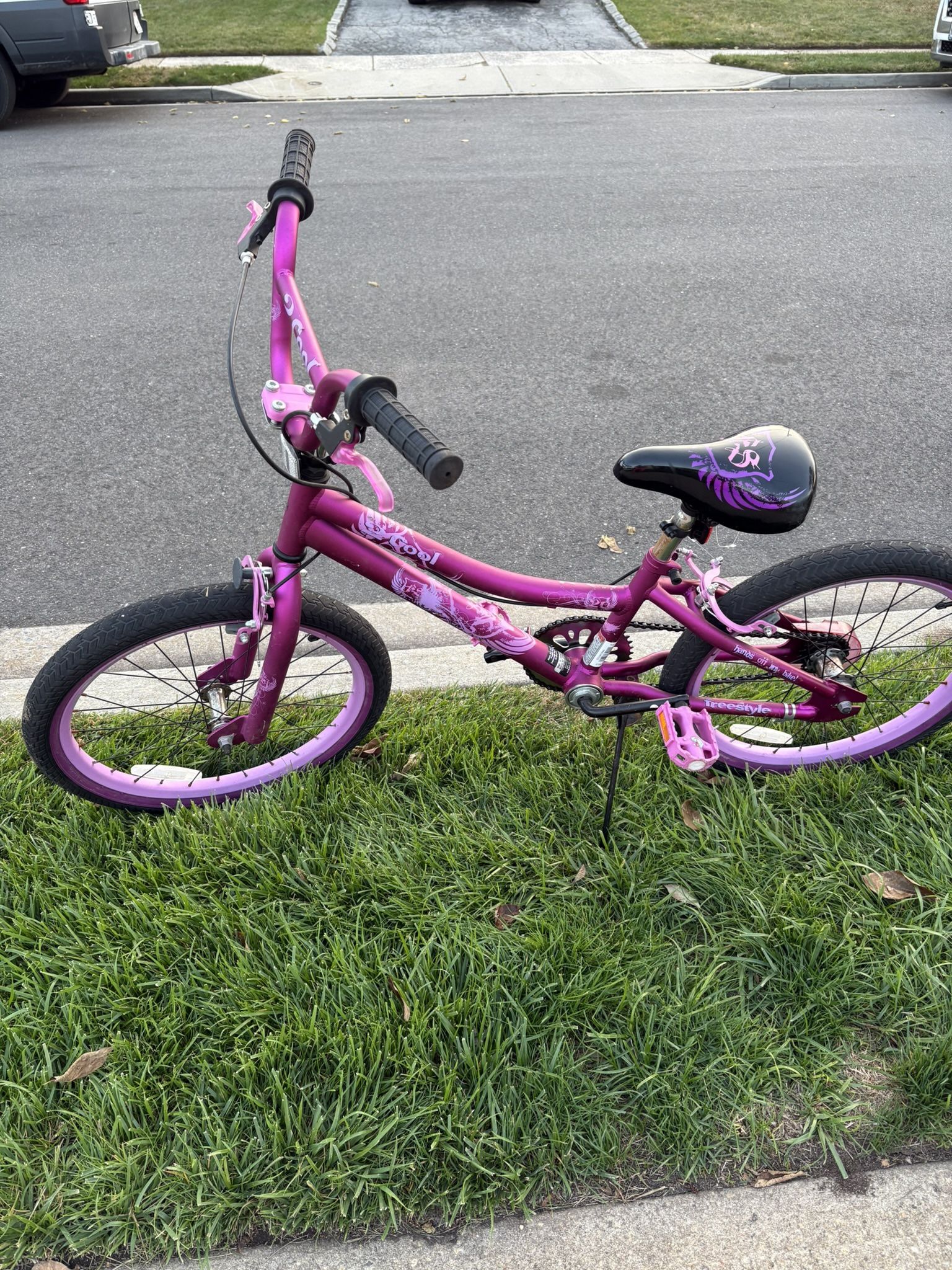 Kids Pink Bike 20 Inch