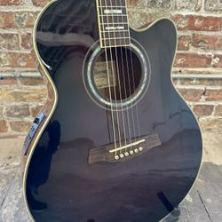 Ibanez AEL30SE acoustic Electric Guitar MEGA DEAL