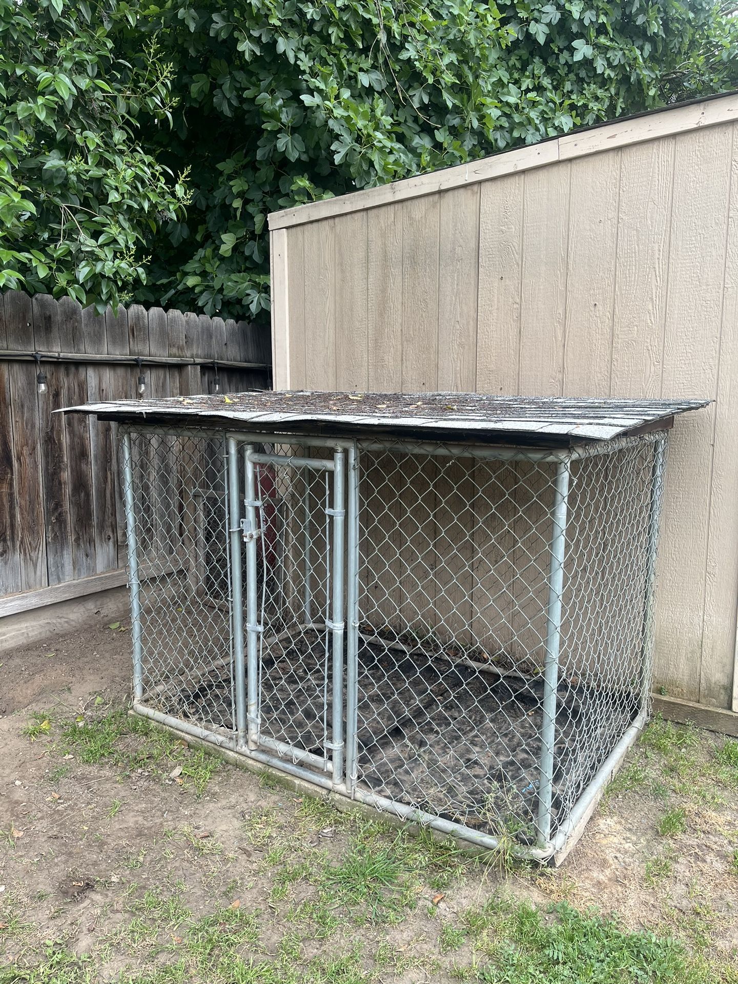 Kennel 