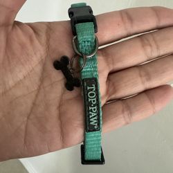 Puppy Dog Or Cat Collar