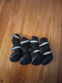 Shoes For Small Dog