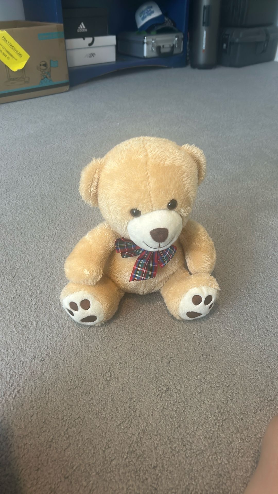Teddy bear stuffed animal