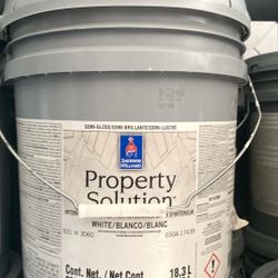 Paint Pintura Y Primers 