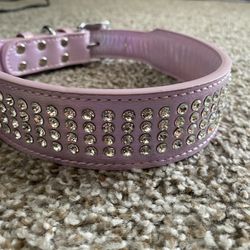 Large Dog Collar