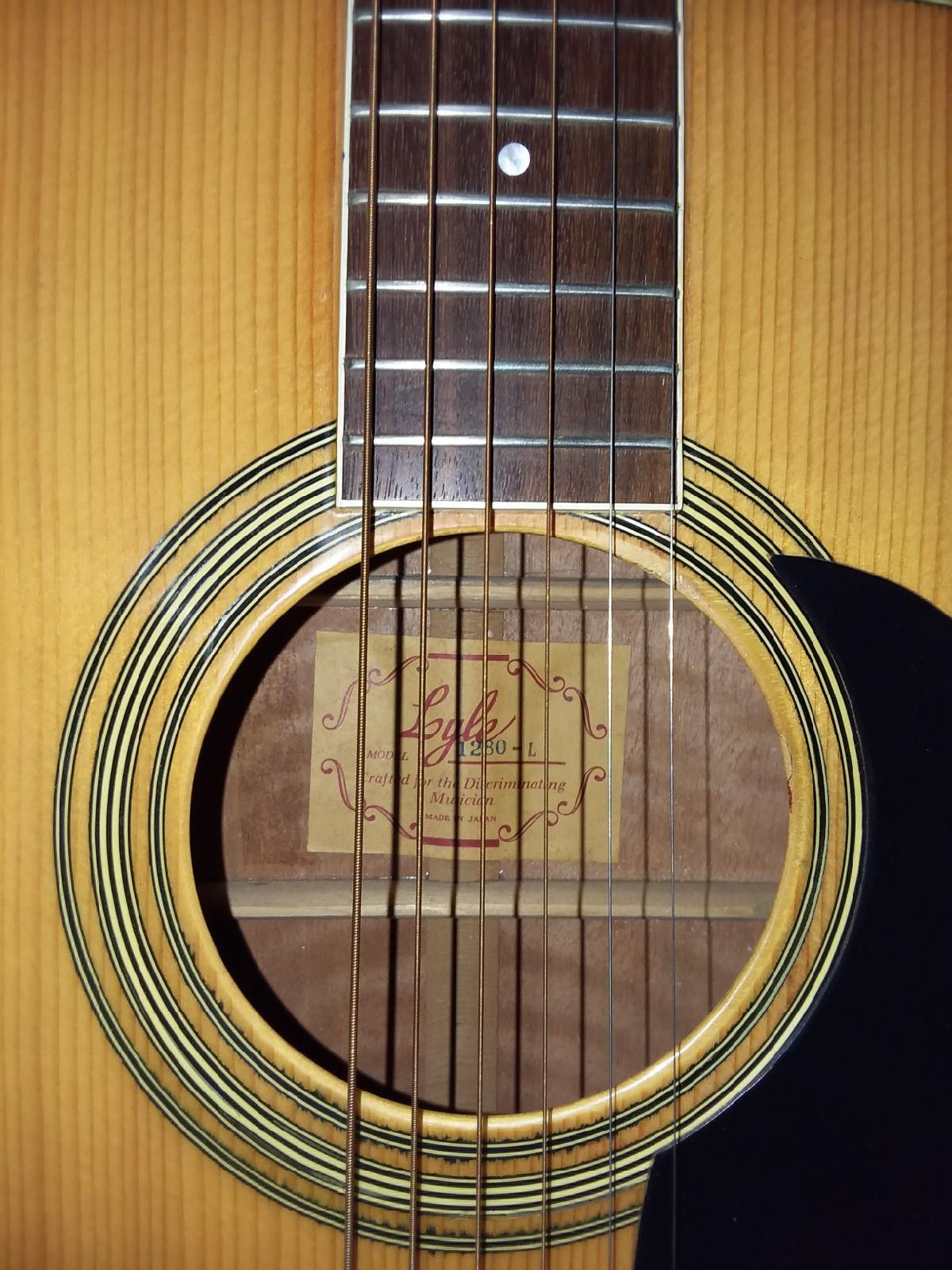 Lyle Acoustic Guitar