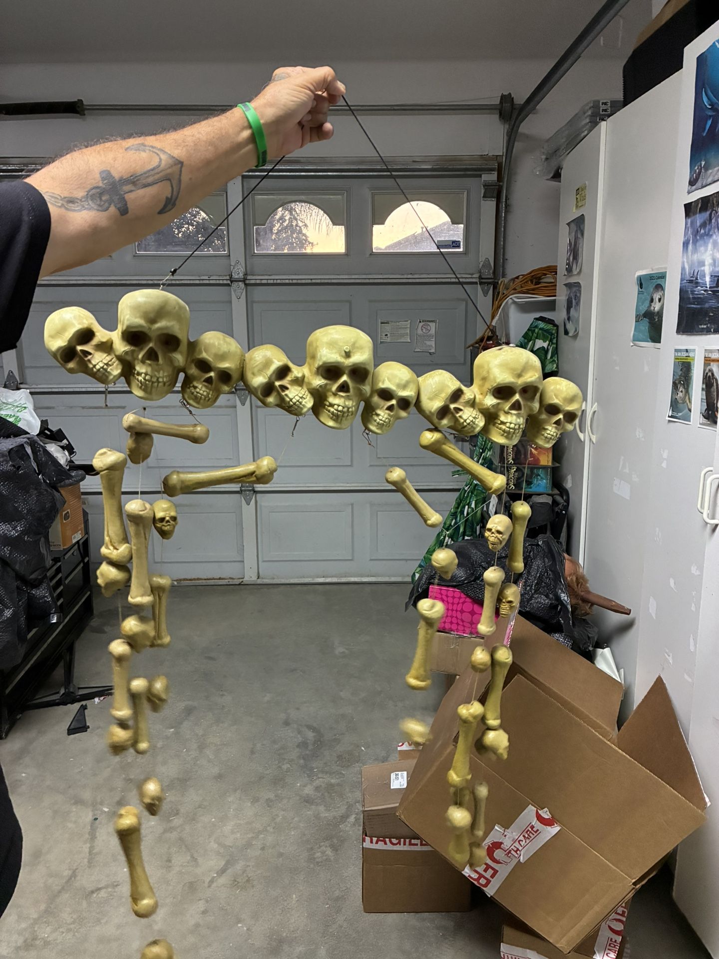 Halloween Skull activated curtain