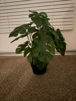 Fake ikea plant “Fejka”