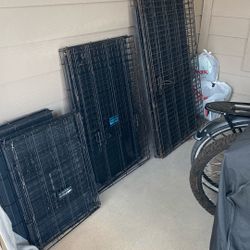 Dog Cages