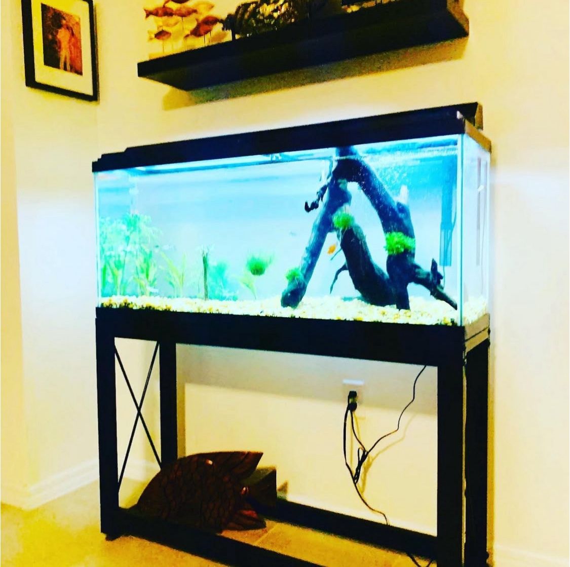 55GL Aquarium Tank & Stand & Lamp Hood And Motor Delivery Available Near Orlando Original Price $499