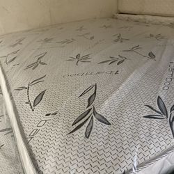 Queen Mattress With Boxspring ( Free Delivery)