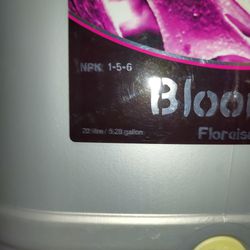 Cyco ("Bloom ("B") Nutrients With Brand New Nozzle 