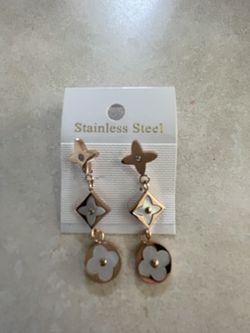 Stainless Steel Earrings 