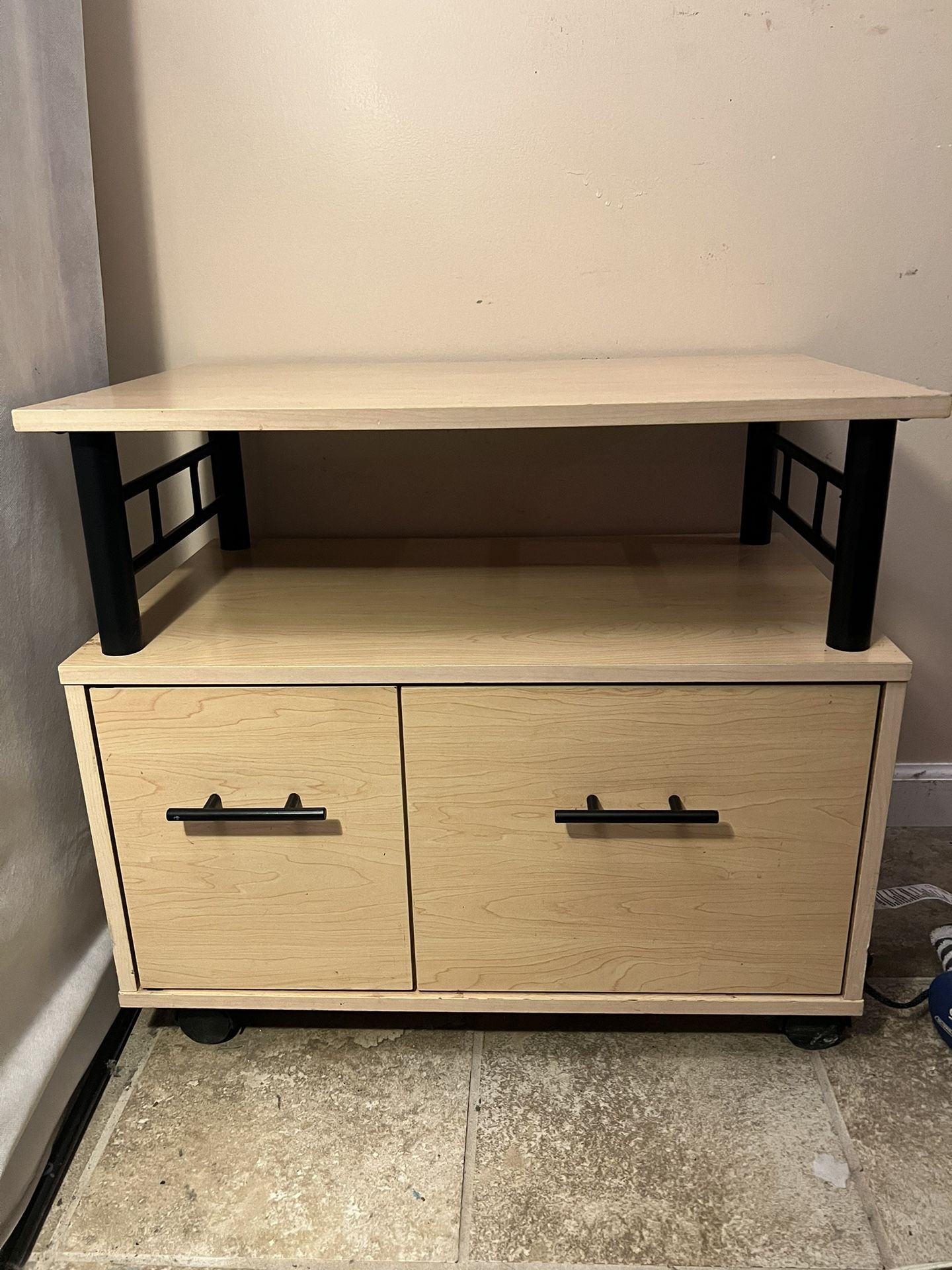 Organizer/Storage bin on wheels
