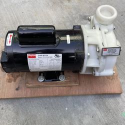 Dayton 2YEU3 Centrifugal Pump, 2 Hp, 3 Ph, 208-230/460V, Polypropylene