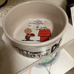 Peanuts Snoopy Charlie Brown Feed The Dog Bowl 