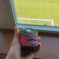 Small Loud Speaker