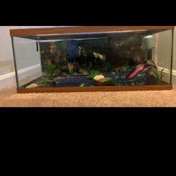 Fish Tank Brown 40+ Gallons