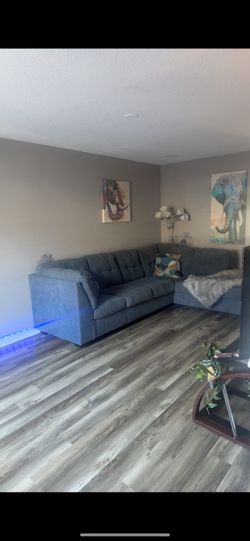 Blue Tinted Couch