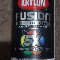 Krylon Satin White Paint 
