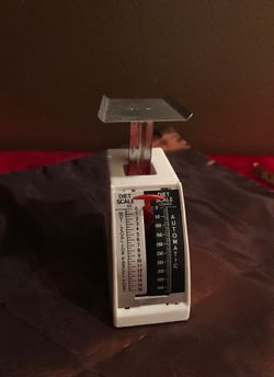 Diet scale