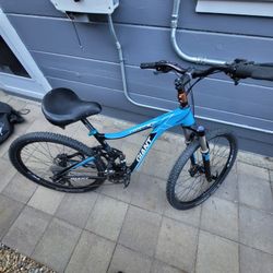 Large Giant Mountain Bike 