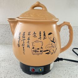 Herbal Medicine Cooker 