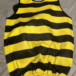 Adult Bumble Bee Halloween Costume