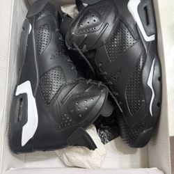 Air Jordan Retro 6 