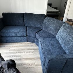 Lovesac couch