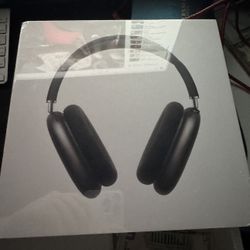 Pro Max Headphones