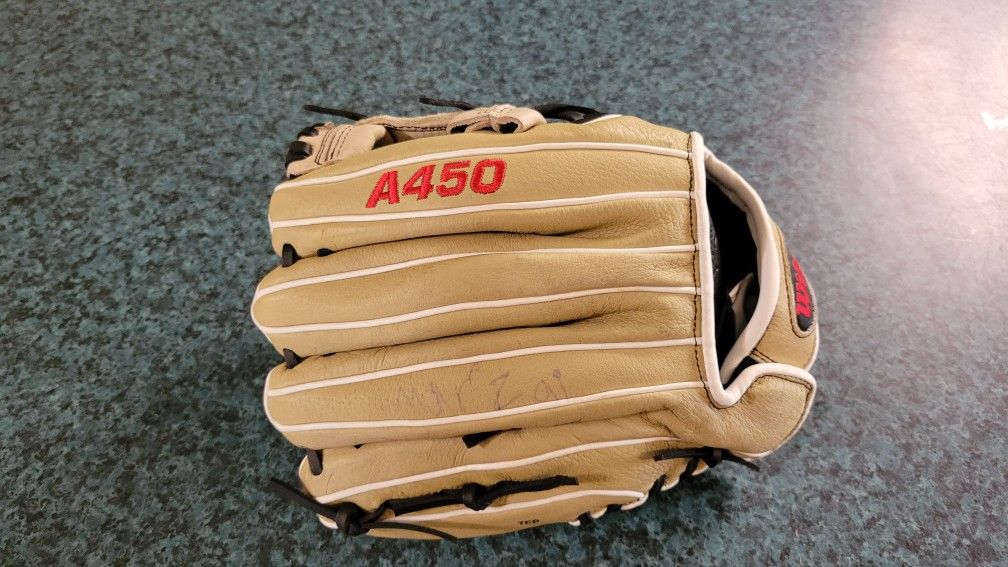 Wilson A450 Baseball Glove