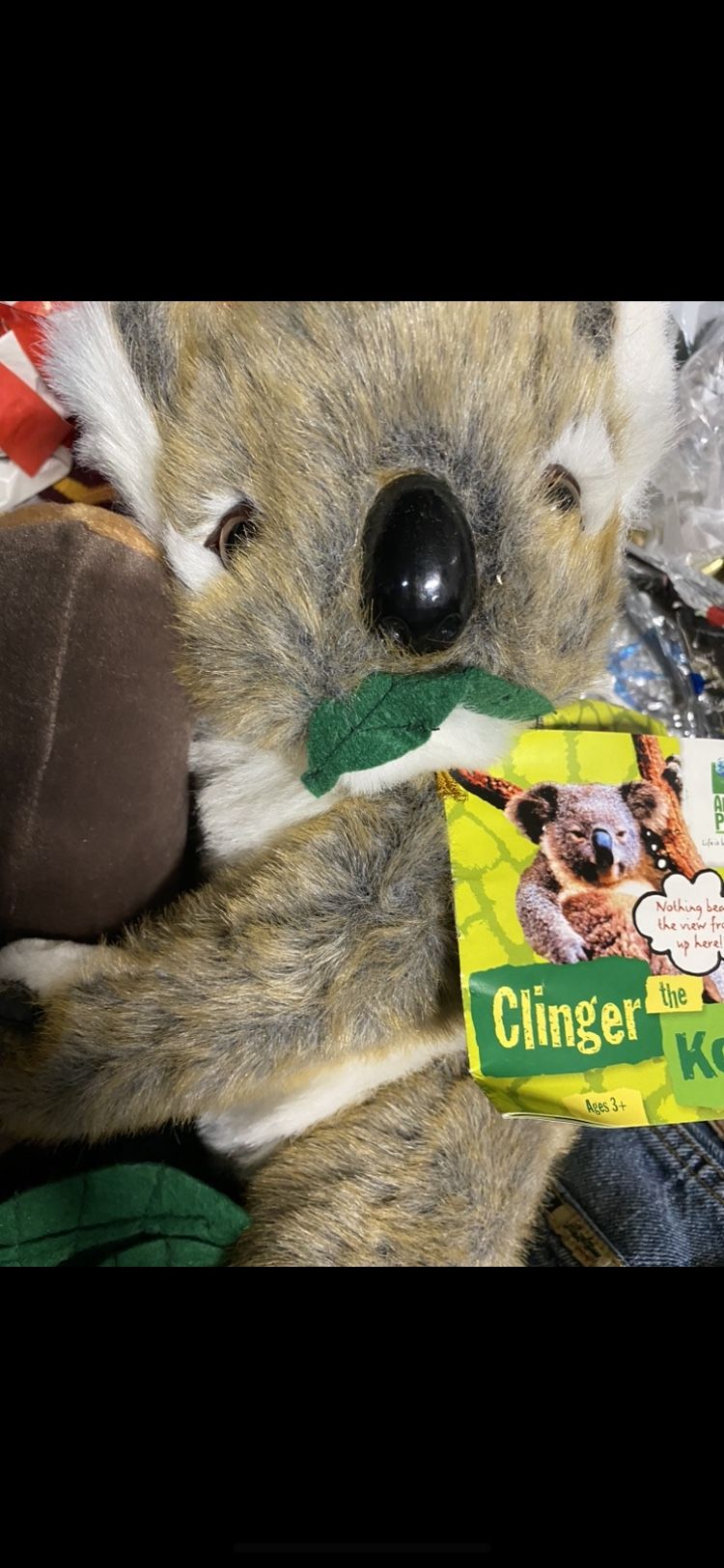 New Koala Bear Toy 