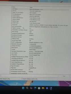 Cobra/Anaconda Gaming  Computer System