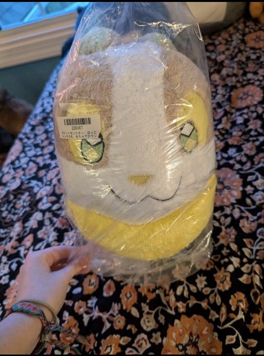 Pokemon Plush